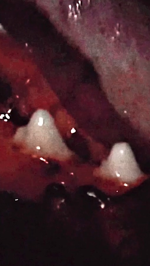 Work by alisа, Ilustrador, in Londres