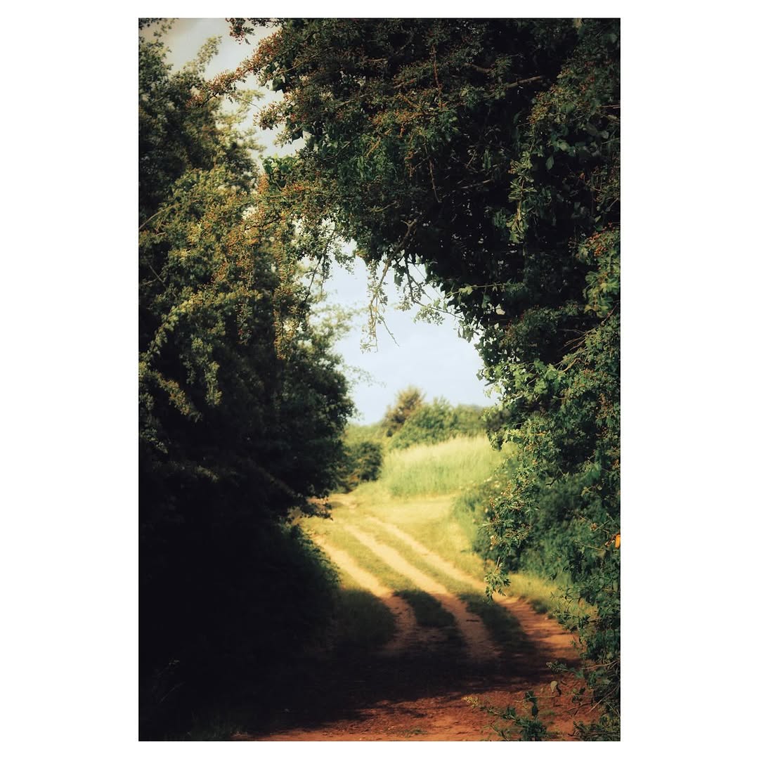 Work by Chloe Green, Fotógrafo, in Londres