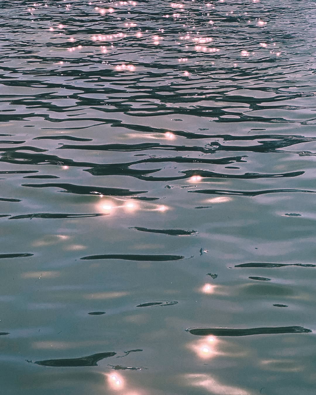 Work by Rees Thompson, Fotograf, in London