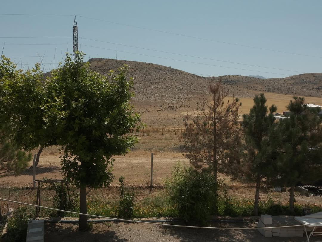 Work by Ilgın, Ilustrador, in Londres