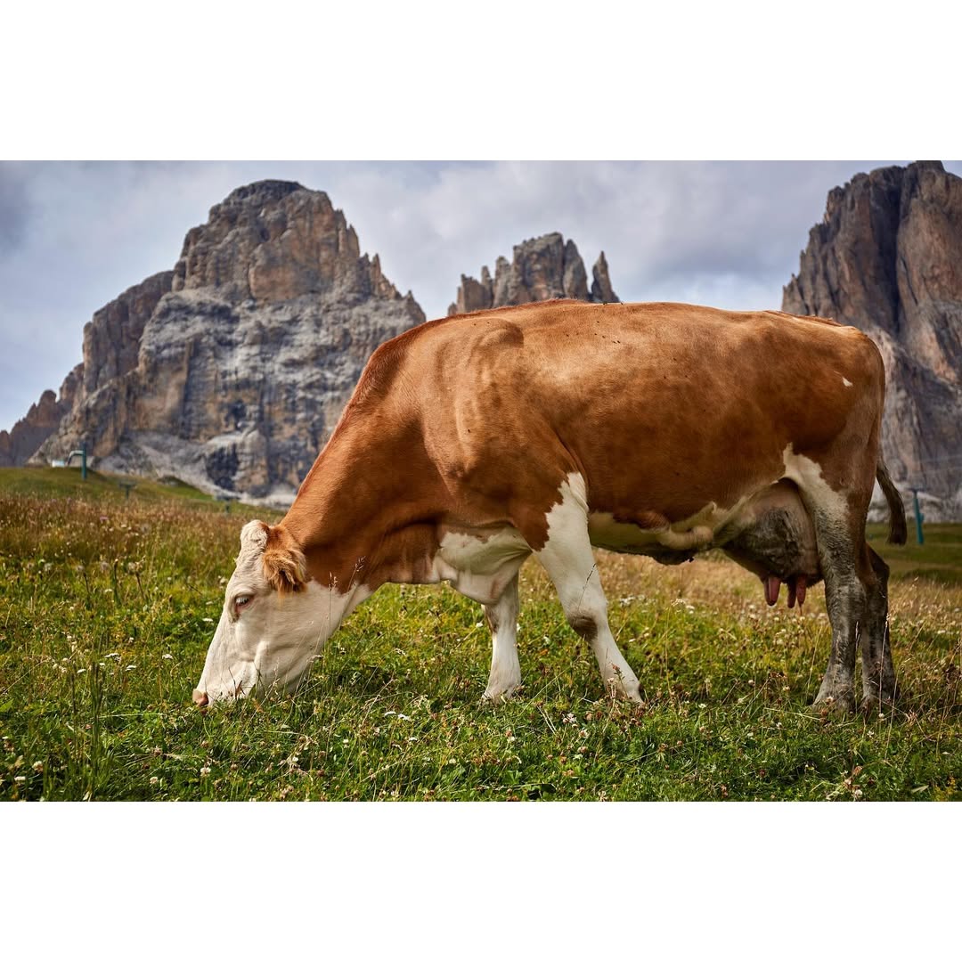 Work by Jeri Lampert, Retocador, in Nueva York