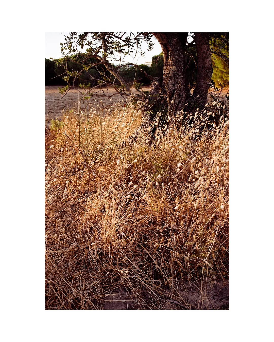 Work by Joshua Kinsella, Fotograaf, in Londen