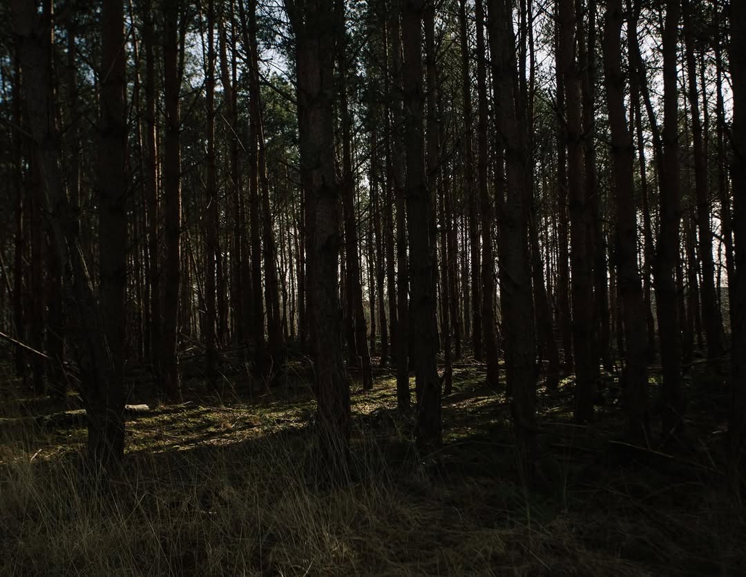 Work by Alifya Al-Harazi, Fotógrafo, in Londres