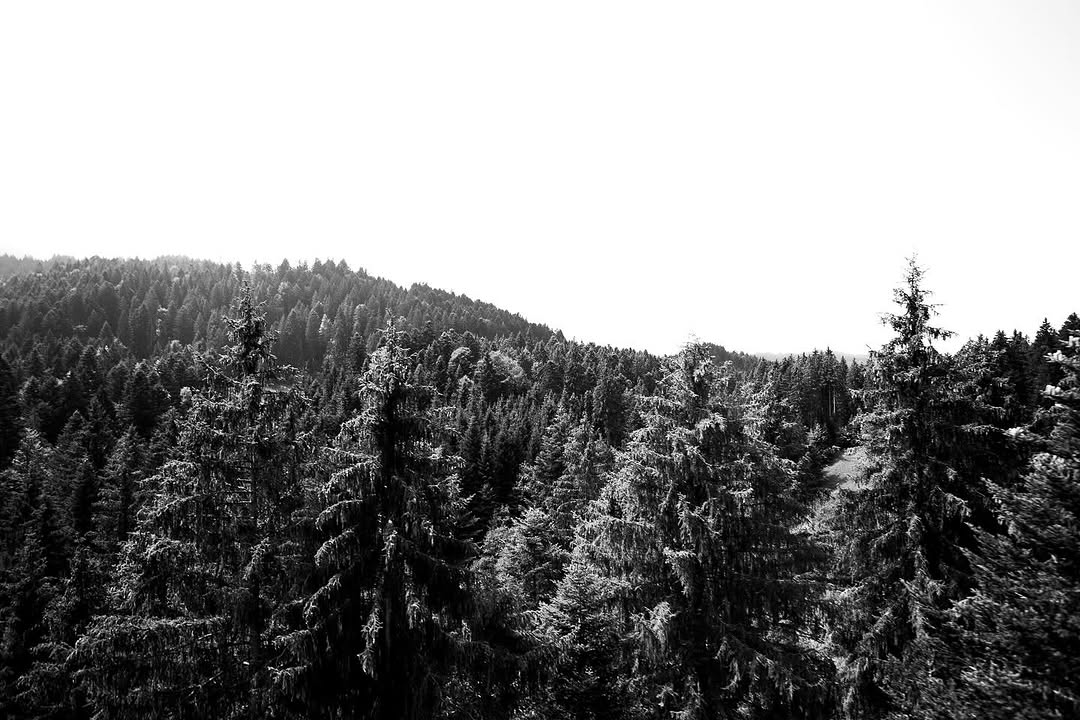 Work by Alifya Al-Harazi, Illustrator, in Londen