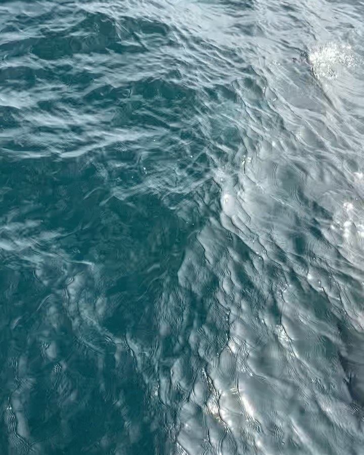 Work by Eve Eberlin, Fotograaf, in Londen