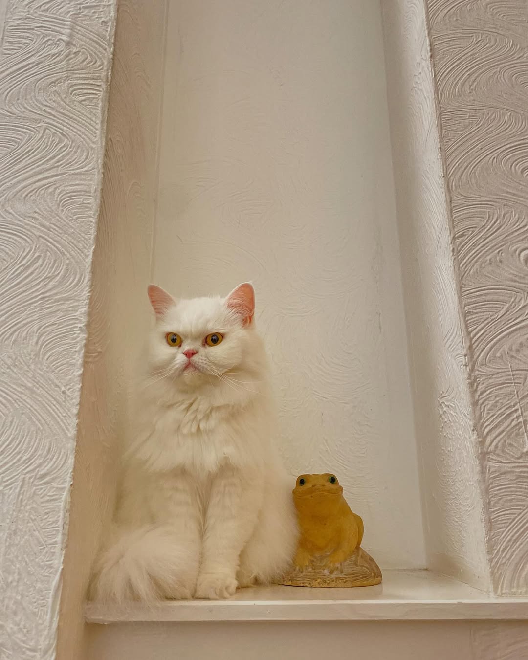 Work by photographer | director, Estilista, in Londres