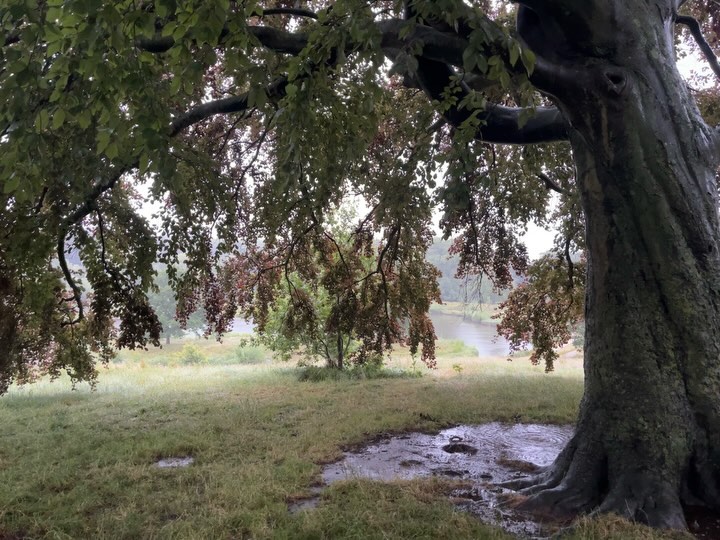 Work by Malak Bedidi, Art Director, in Londen