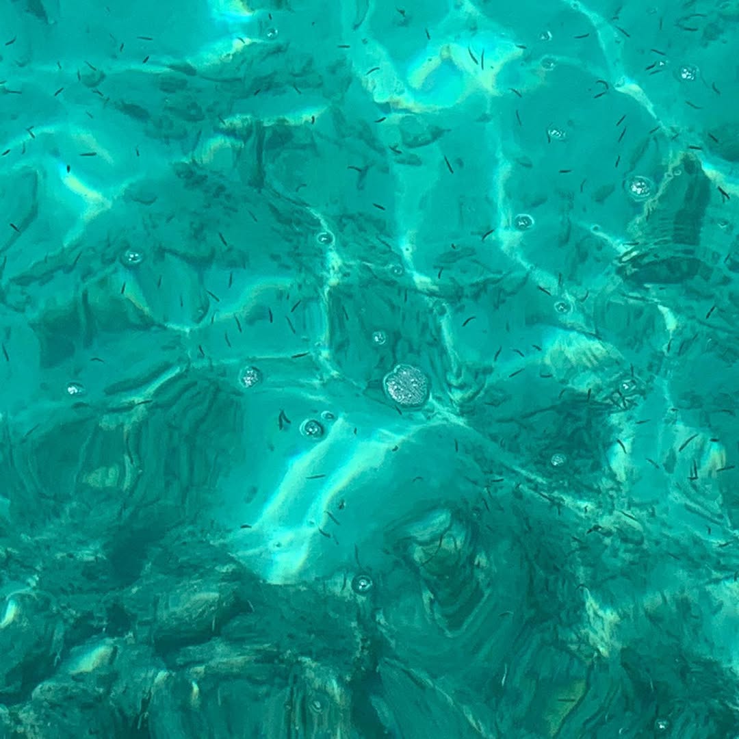 Work by VICTORIA CHEE, Artista, in Londres