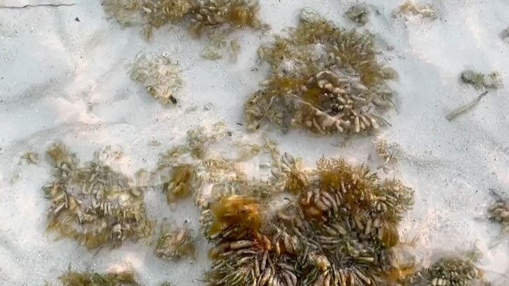 Work by d ✮⋆˙, Fotograaf, in Londen