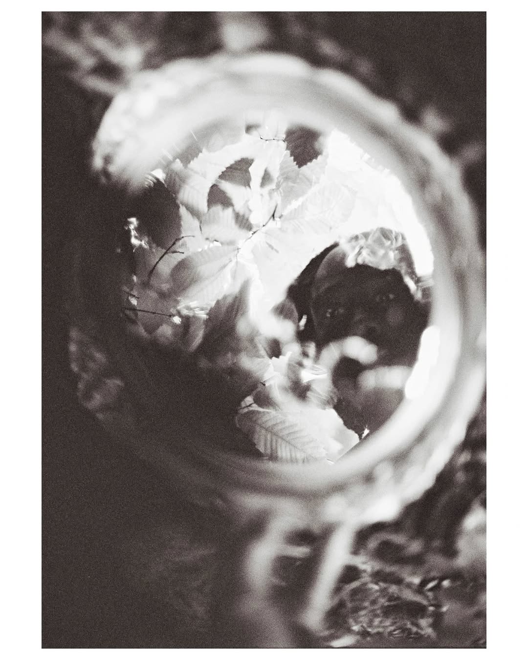 Work by Akin Sofowora, Fotógrafo, in Londres