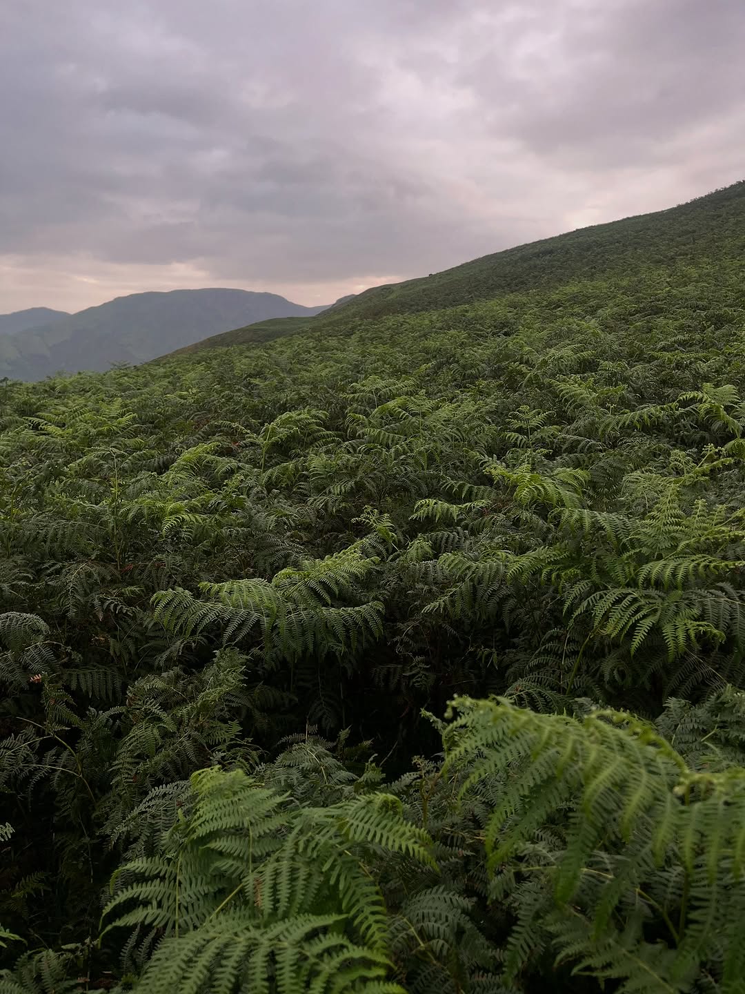 Work by JOMS☆, Stylist, in Londen