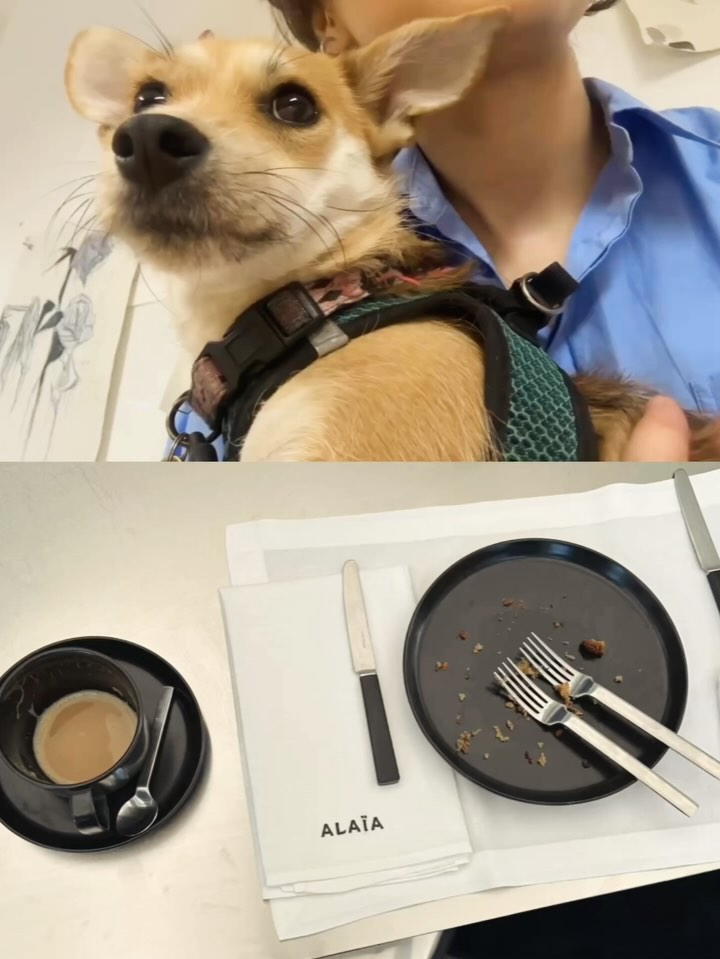 Work by alya, Director Creativo, in Londres