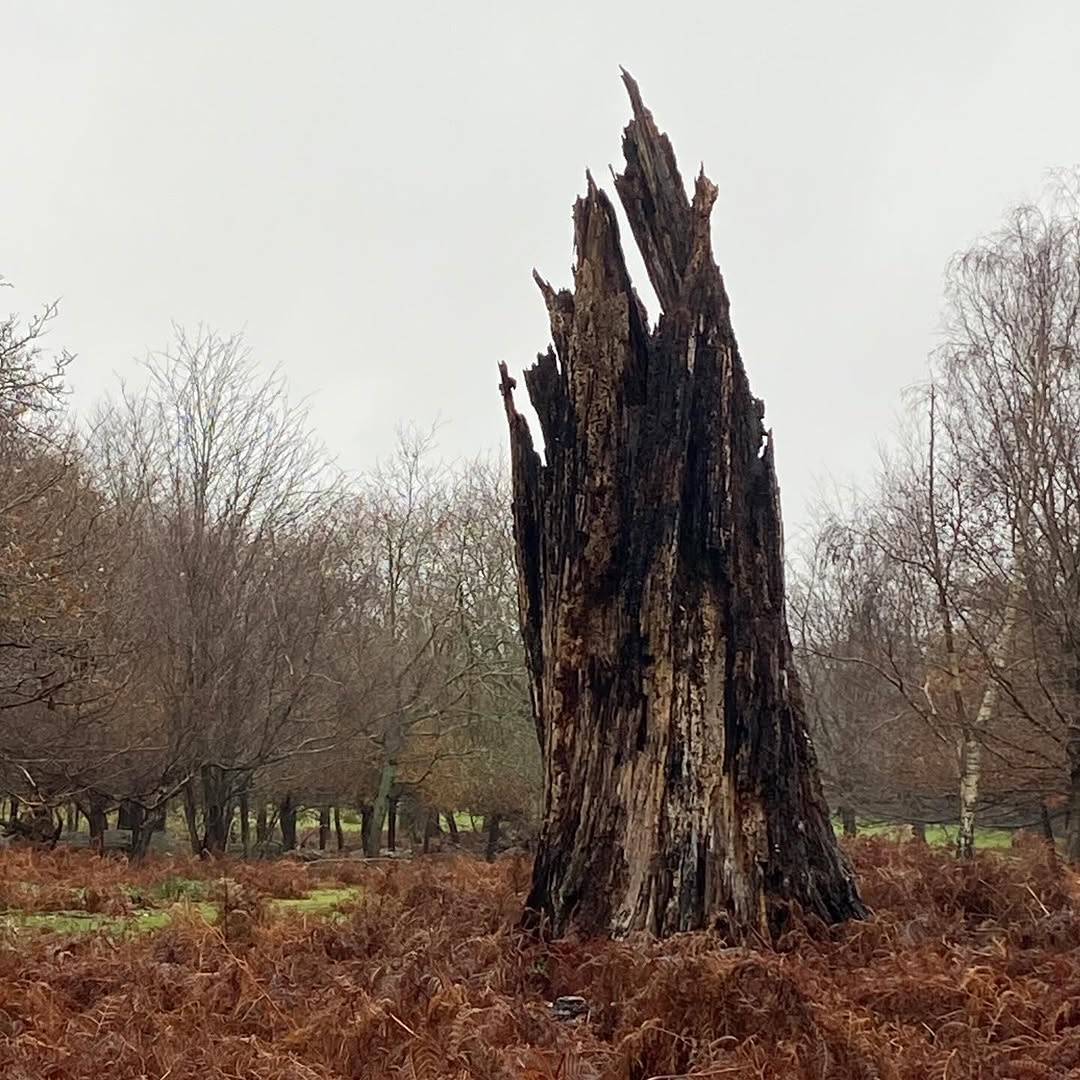 Work by OLIVIA CATCHPOLE, Stylist, in Londen