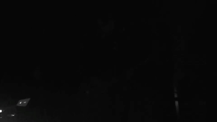 Work by Tallulah shepheard, Fotograaf, in Londen